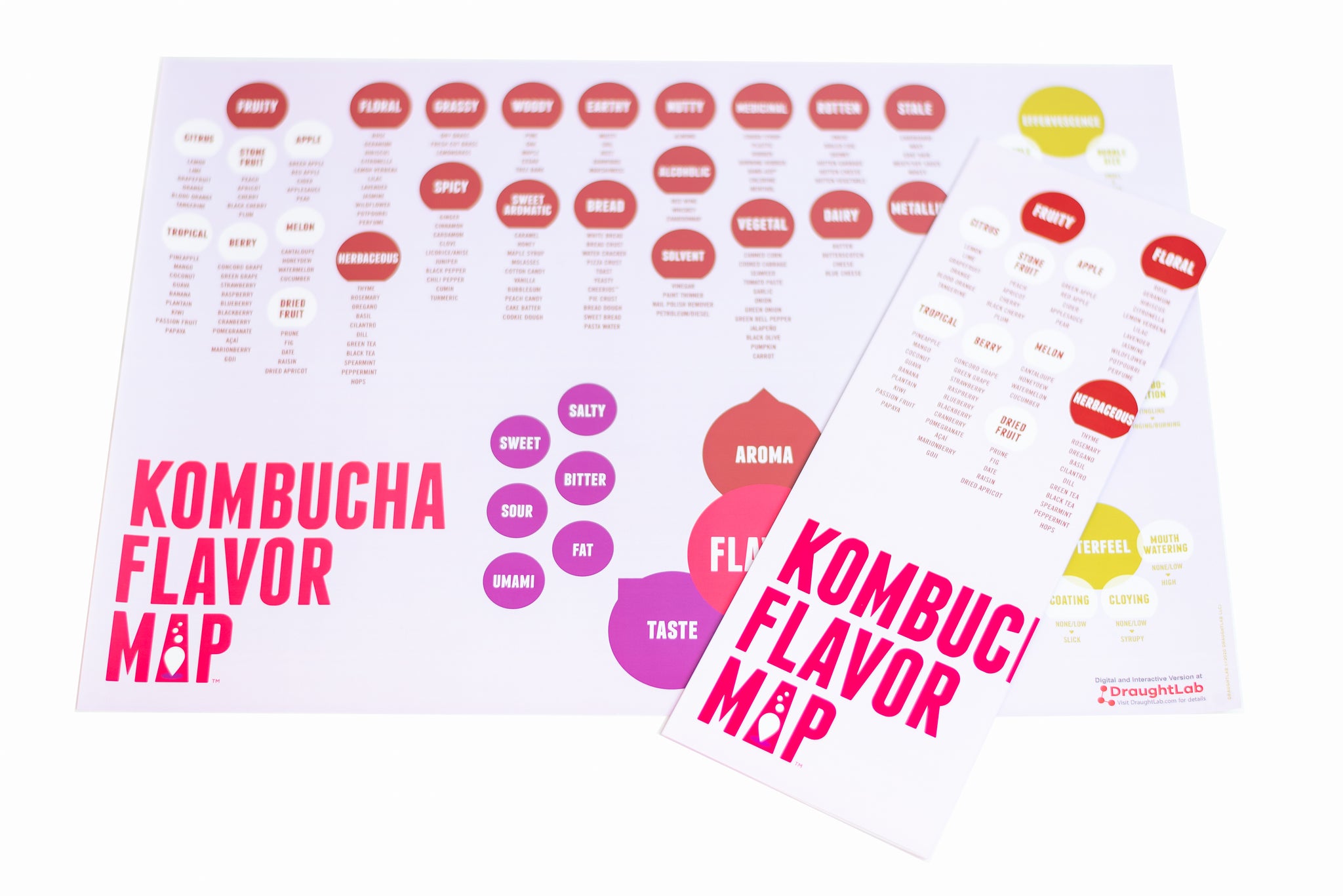 Kombucha Flavor Map – DraughtLab Store