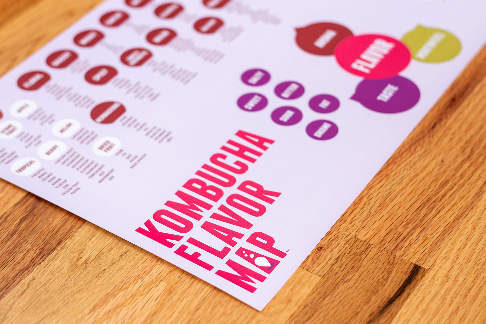 Kombucha Flavor Map – DraughtLab Store